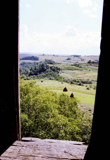 Siklodi taj a toronybol